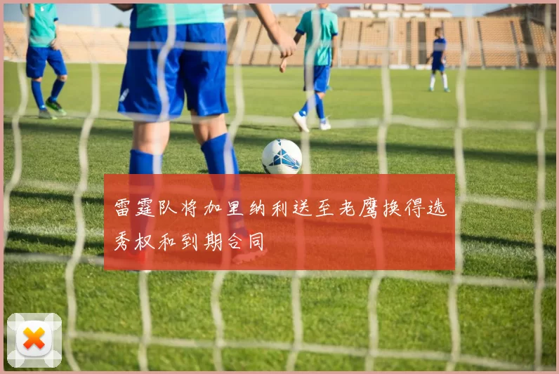 雷霆队将加里纳利送至老鹰换得选秀权和到期合同