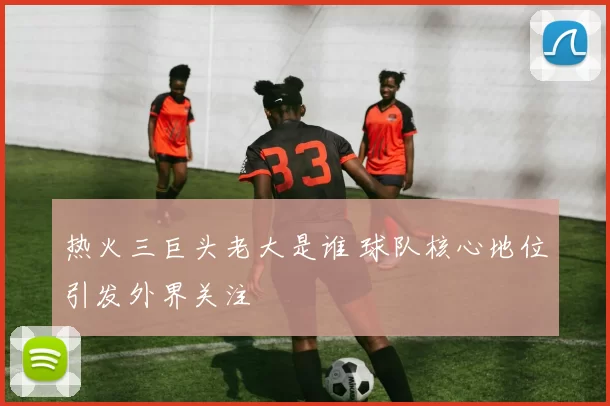 热火三巨头老大是谁 球队核心地位引发外界关注