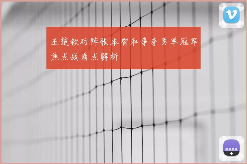 王楚钦对阵张本智和争夺男单冠军焦点战看点解析